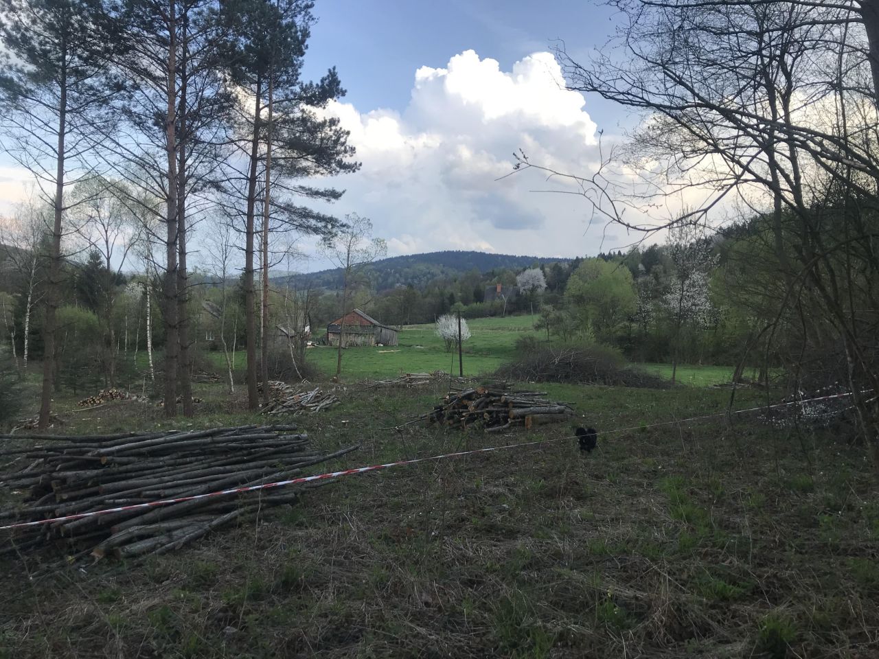 Działka budowlana Wołowiec. Zdjęcie 3