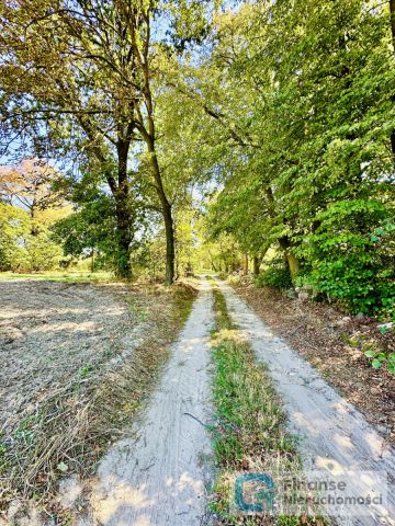 Działka budowlana Gaj. Zdjęcie 15