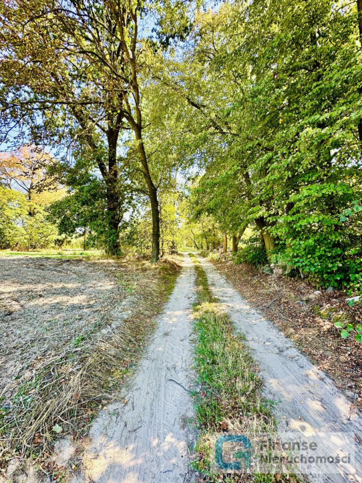 Działka budowlana Gaj. Zdjęcie 15