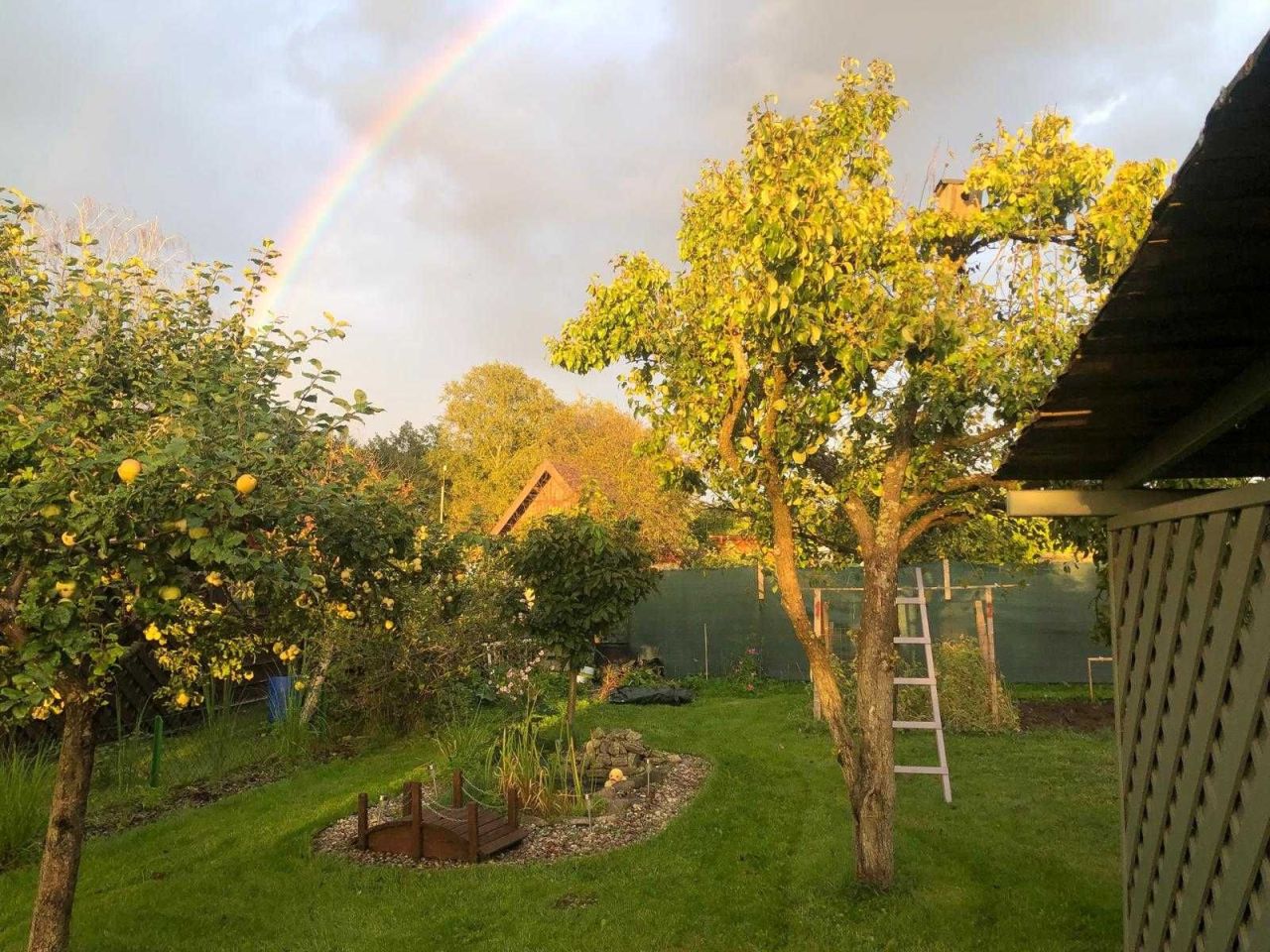 Działka rod Szczytno, ul. Pasymska. Zdjęcie 4