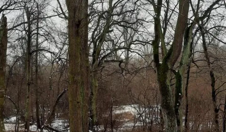 Działka budowlana Józefów