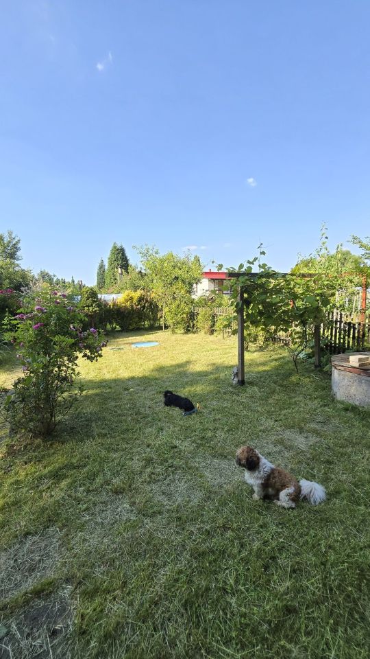 Działka rod Tychy. Zdjęcie 5