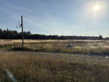 dom letniskowy Eligiów Winek. Zdjęcie 3