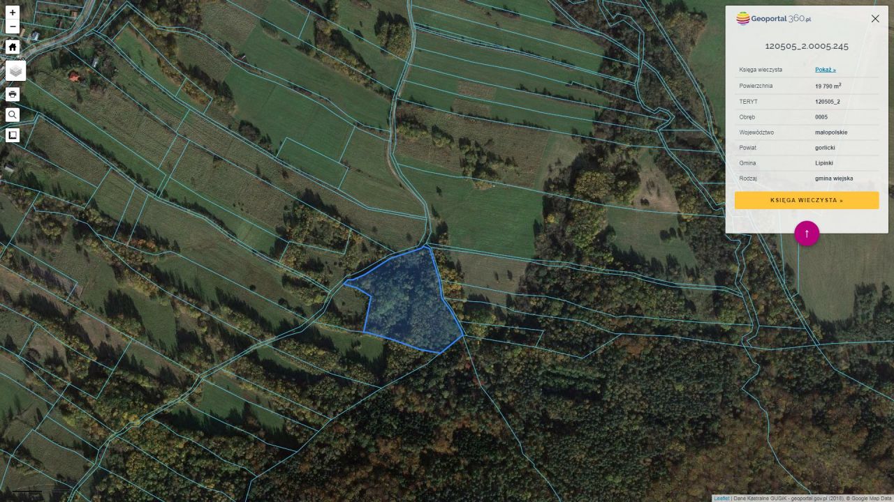 Działka rolna Rozdziele. Zdjęcie 2