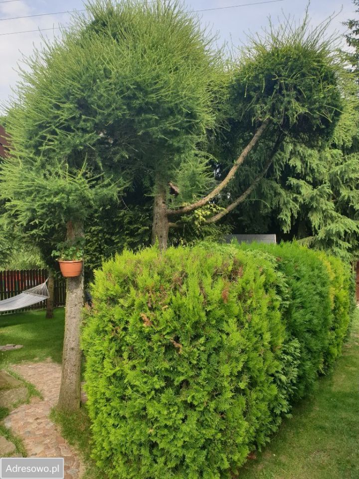 dom wolnostojący, 3 pokoje Lembarg. Zdjęcie 4