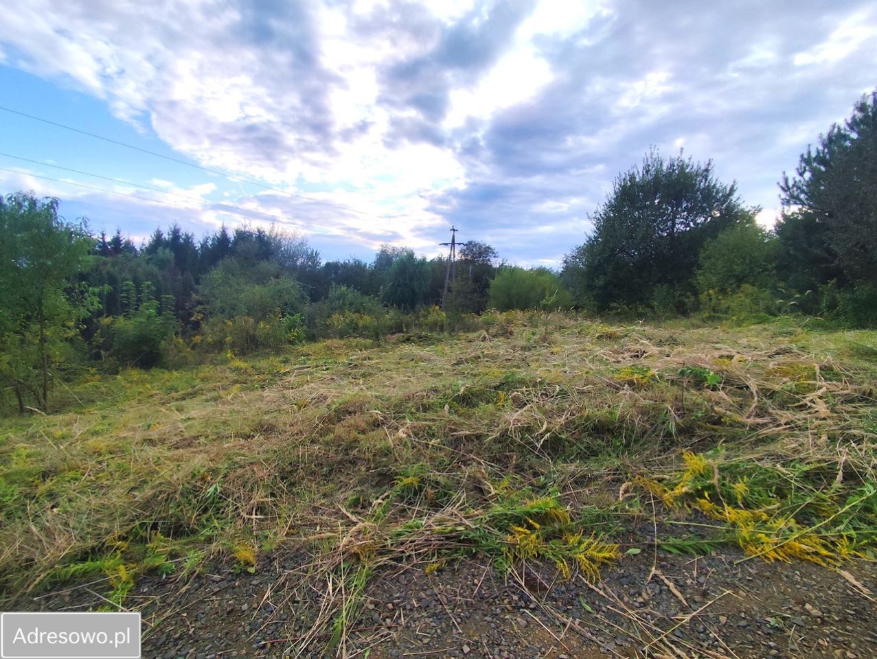 Działka budowlana Morawica. Zdjęcie 5