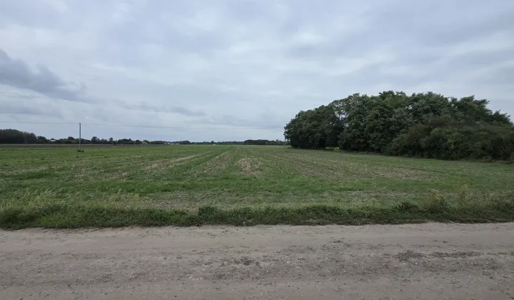 Działka rolna Zarębin