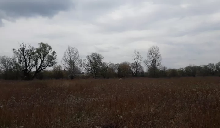 Działka rolna Warszawa Wawer, ul. Wał Miedzeszyński