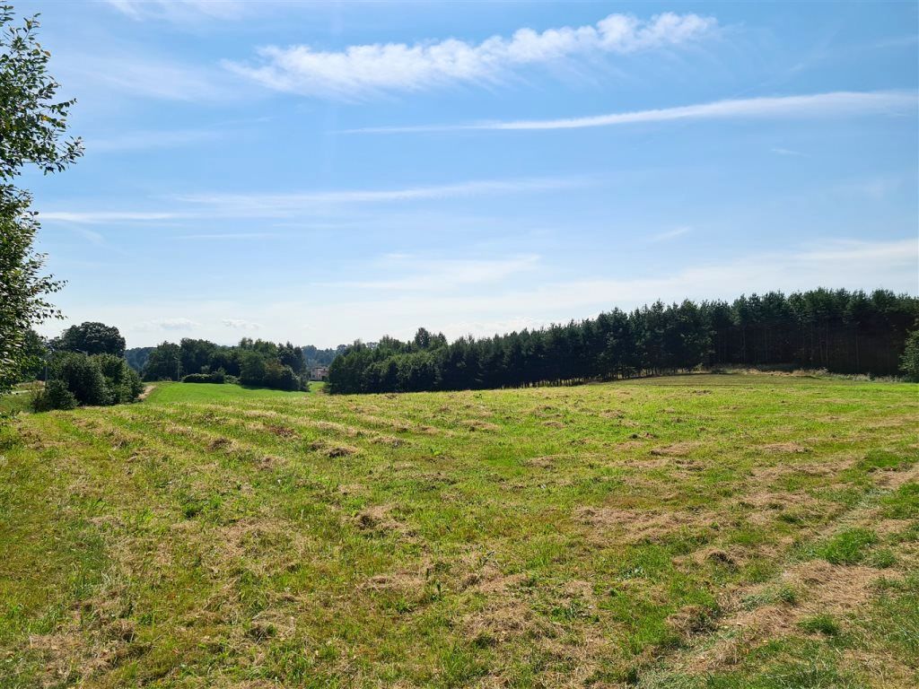 Działka budowlana Pielgrzymowice Trąbieniec, ul. Jastrzębska. Zdjęcie 11