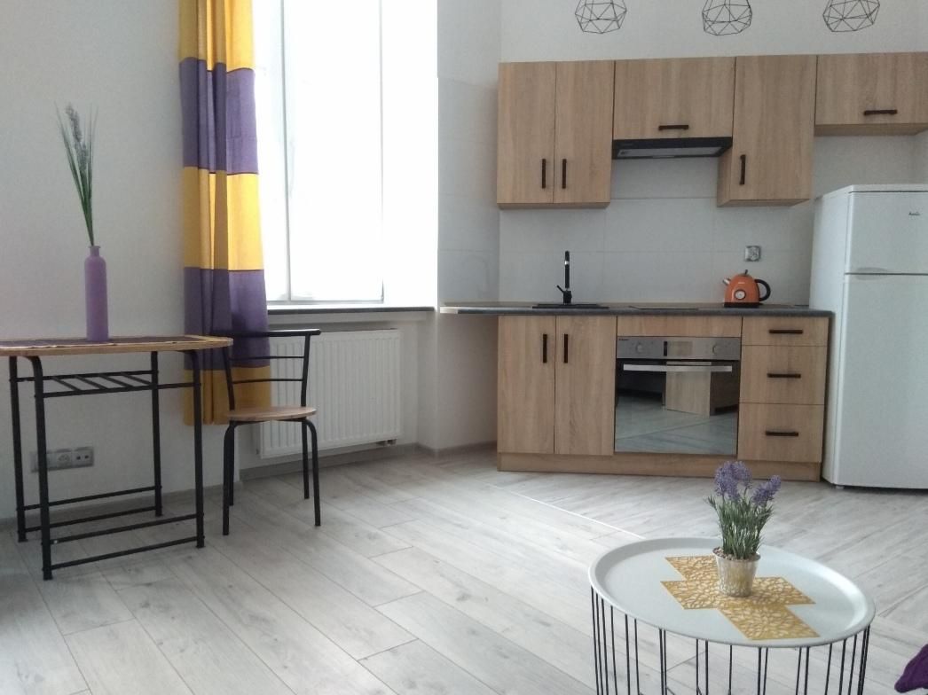 Mieszkanie 1-pokojowe Łódź Śródmieście, ul. Nawrot