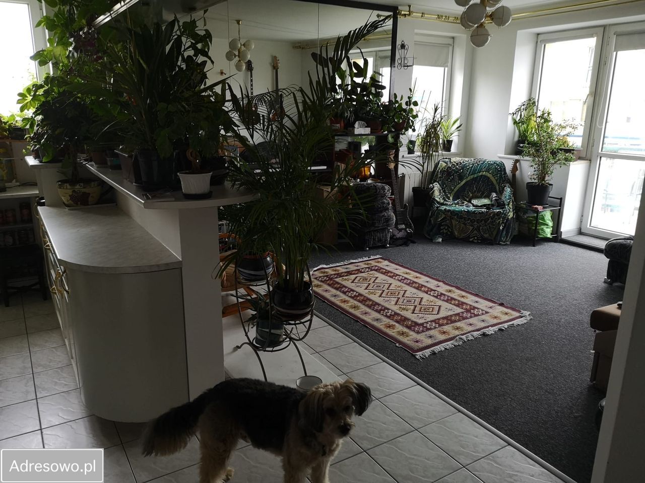 Pokój Gdynia Wielki Kack, ul. Myśliwska. Zdjęcie 15