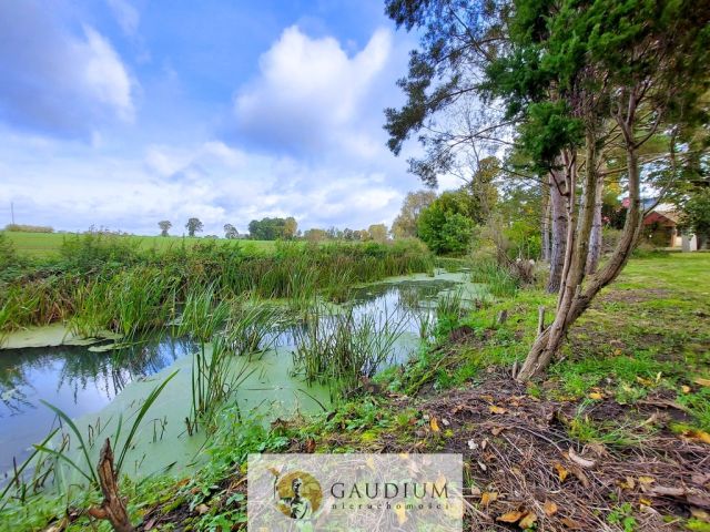 dom wolnostojący, 3 pokoje Tropiszewo. Zdjęcie 8
