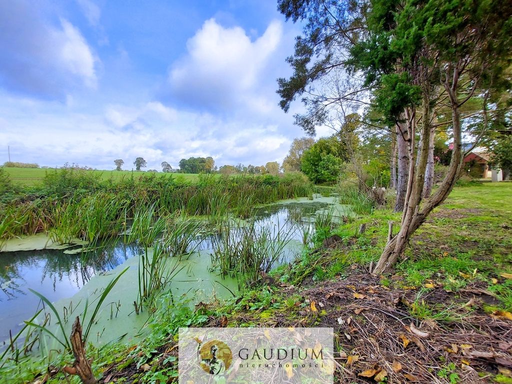 dom wolnostojący, 3 pokoje Tropiszewo. Zdjęcie 8