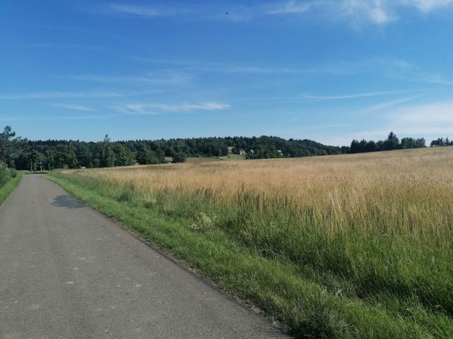 Działka rolna Załazki. Zdjęcie 1