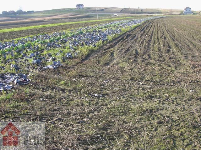 Działka budowlana Proszowice Podgórze. Zdjęcie 9