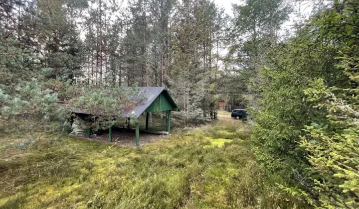 Działka rekreacyjna Kłączno