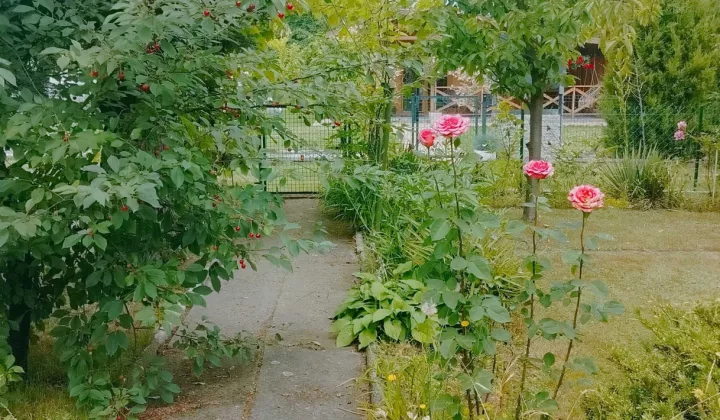 Działka rod Wieluń