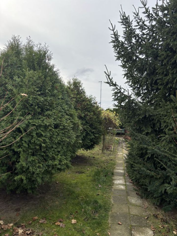 Działka rod Gniezno Winiary. Zdjęcie 4