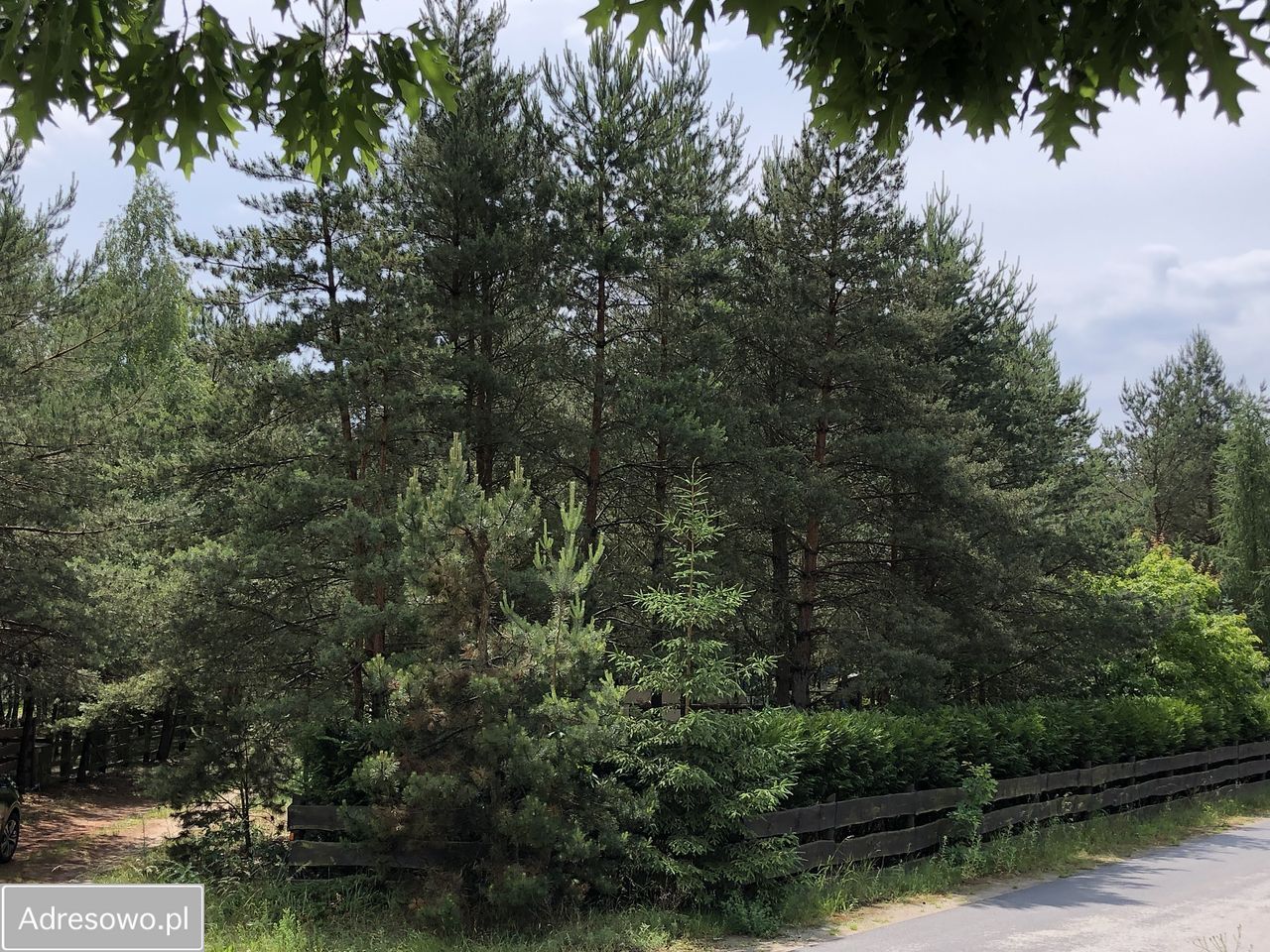 Działka rekreacyjna Ostrowo. Zdjęcie 7
