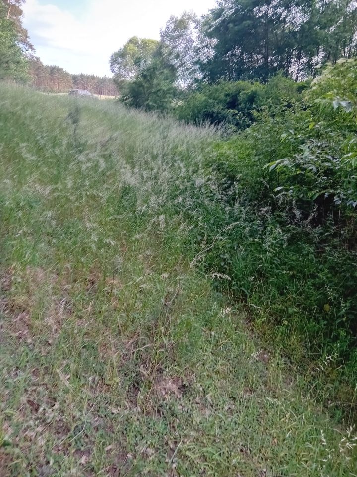 Działka budowlana Lubochnia. Zdjęcie 7