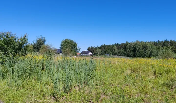 Działka budowlana Wilkszyn, ul. Bolesława Chrobrego