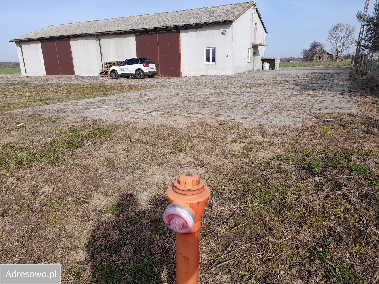 Hala/magazyn Gulbiny. Zdjęcie 4