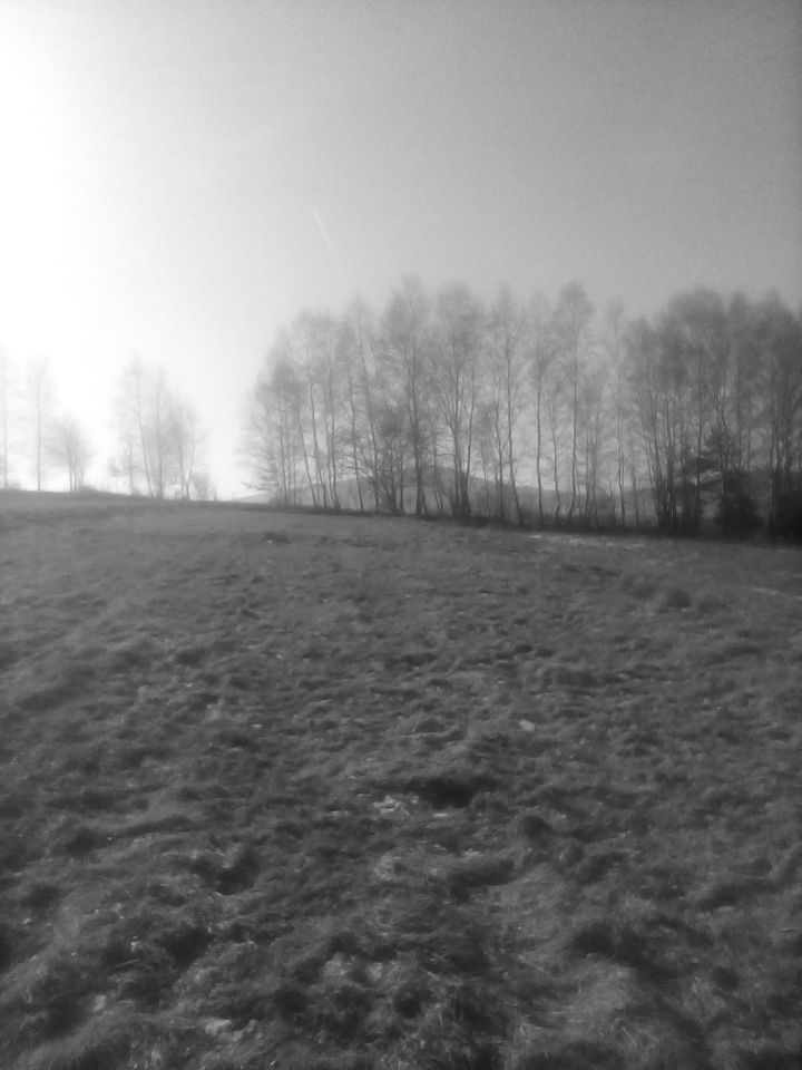 Działka rolna Cisiec Duży Cisiec, ul. Brzozowa. Zdjęcie 3