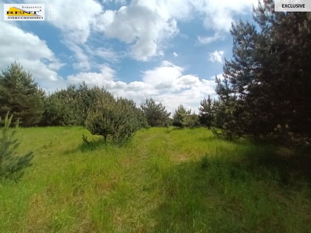 Działka rolna Binowo. Zdjęcie 13