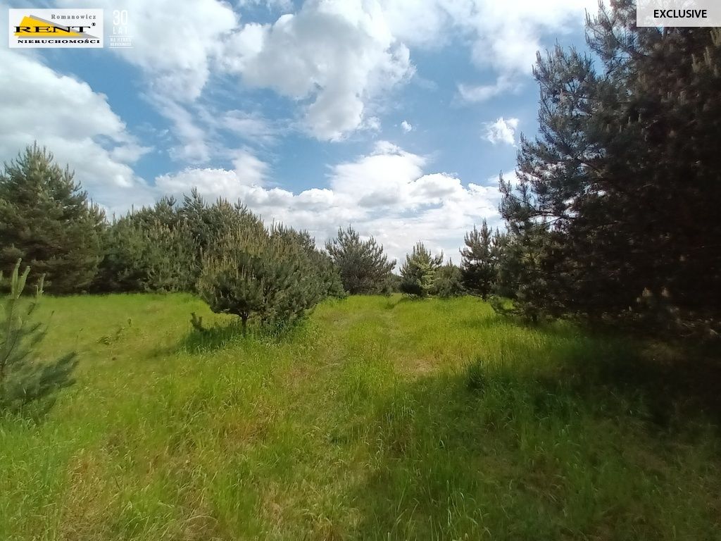 Działka rolna Binowo. Zdjęcie 13