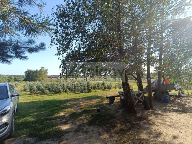 Działka siedliskowa Osuchów. Zdjęcie 15