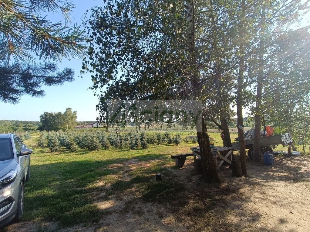 Działka siedliskowa Osuchów. Zdjęcie 15