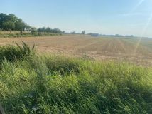 Działka budowlana Olszewka. Zdjęcie 2