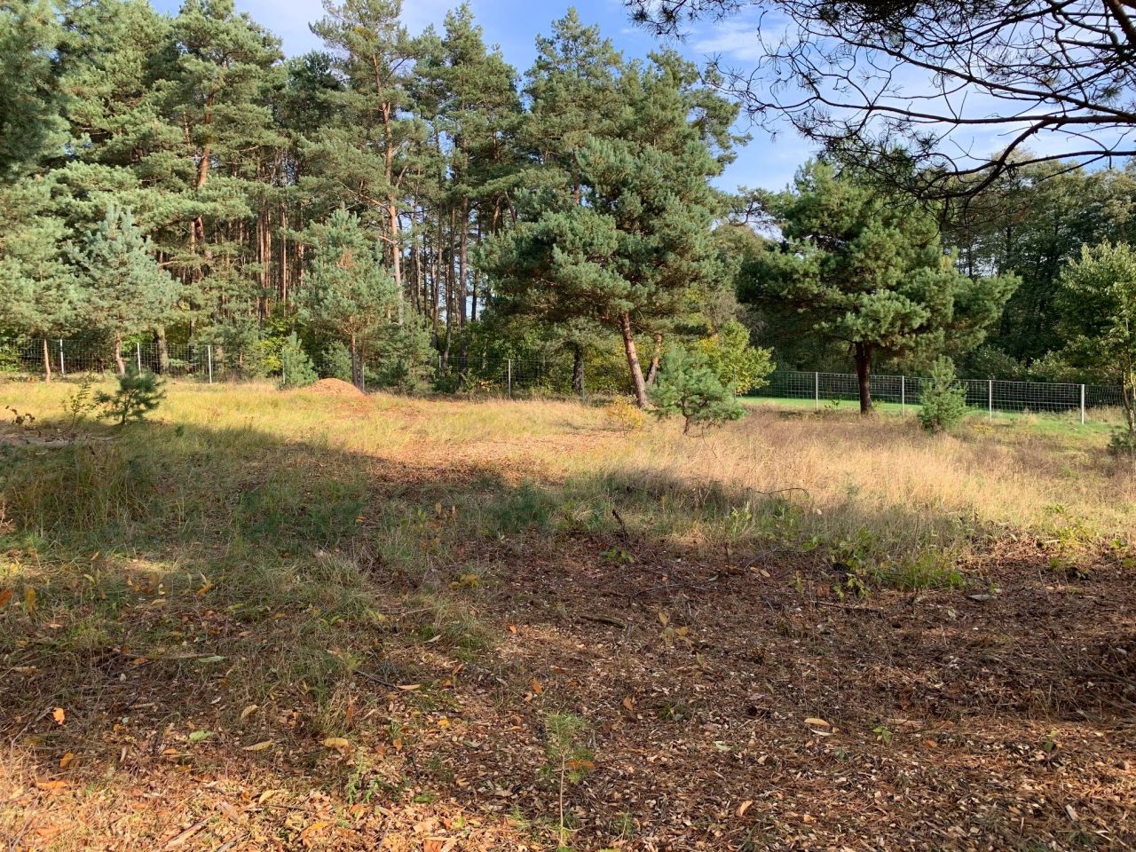 Działka rolno-budowlana Ostrowo. Zdjęcie 2