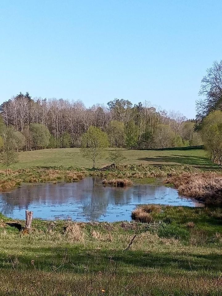 Działka rolna Donatowo. Zdjęcie 4