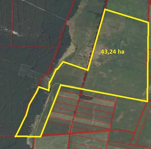 Działka rolna Lubsko. Zdjęcie 4