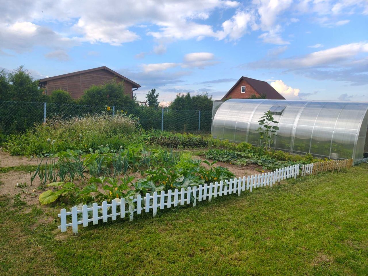 Działka rod Kuków. Zdjęcie 6