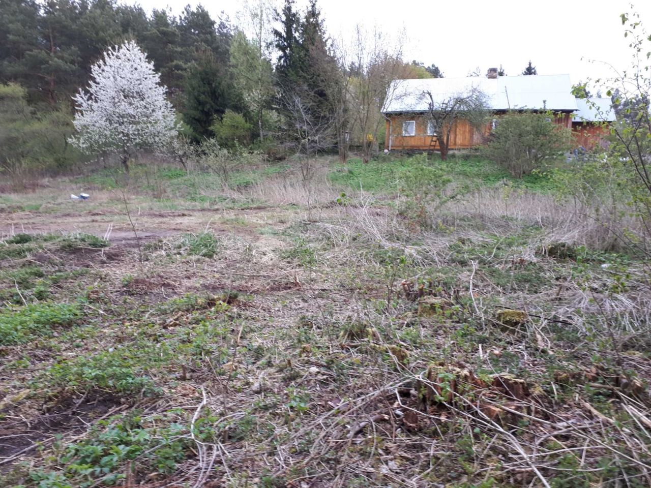 Działka rolno-budowlana Kuce. Zdjęcie 2