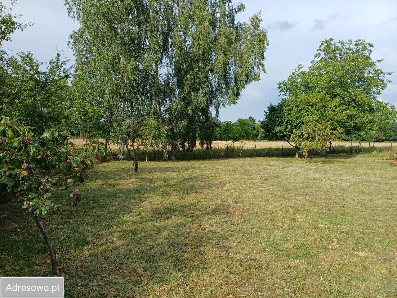 Działka budowlana Wrocław Strachocin, ul. Rolnicza. Zdjęcie 13