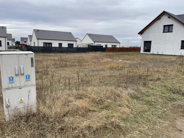 Działka budowlana Bolechówko, ul. Łubinowa. Zdjęcie 1