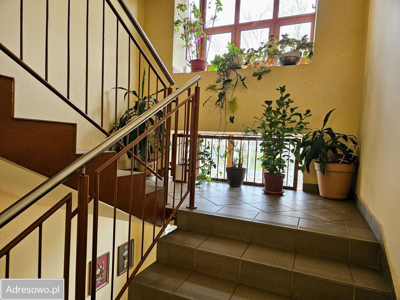 Mieszkanie 3-pokojowe Katowice Brynów, ul. Kolibrów. Zdjęcie 3