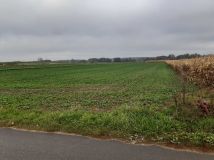 Działka rolno-budowlana Nowy Dwór-Parcela. Zdjęcie 1