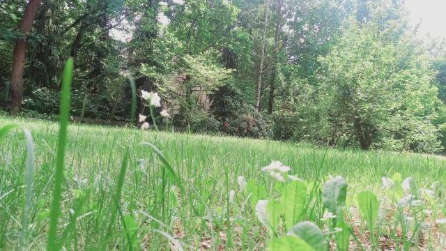 Działka budowlana Złotokłos. Zdjęcie 36