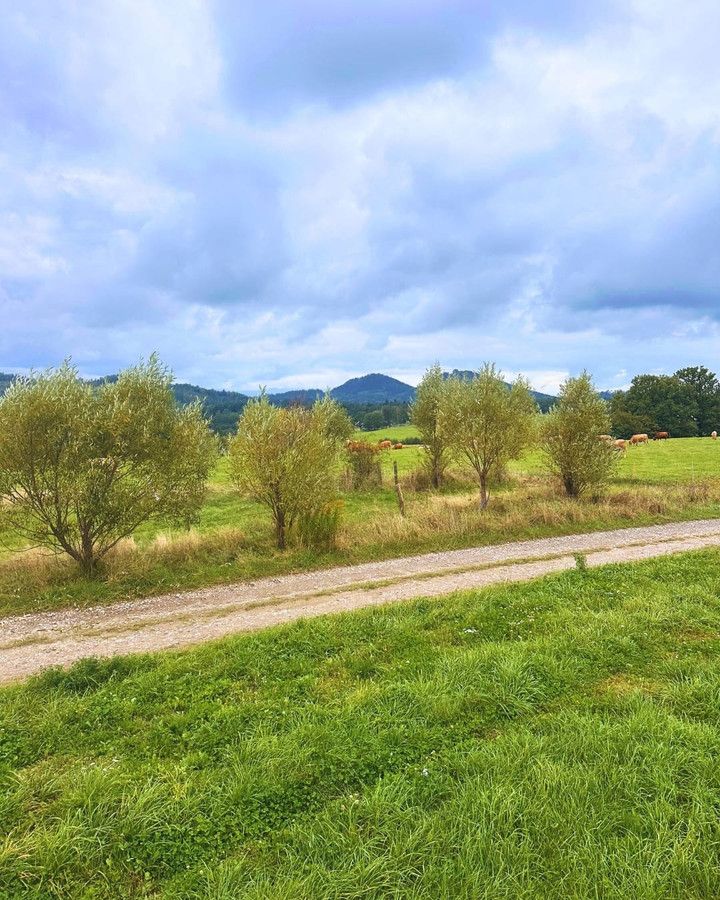 Działka budowlana Janowice Wielkie. Zdjęcie 10
