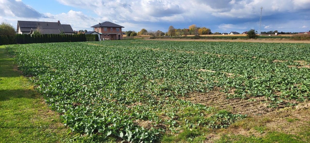 Działka budowlana Szówsko Wola, ul. Słoneczna. Zdjęcie 4