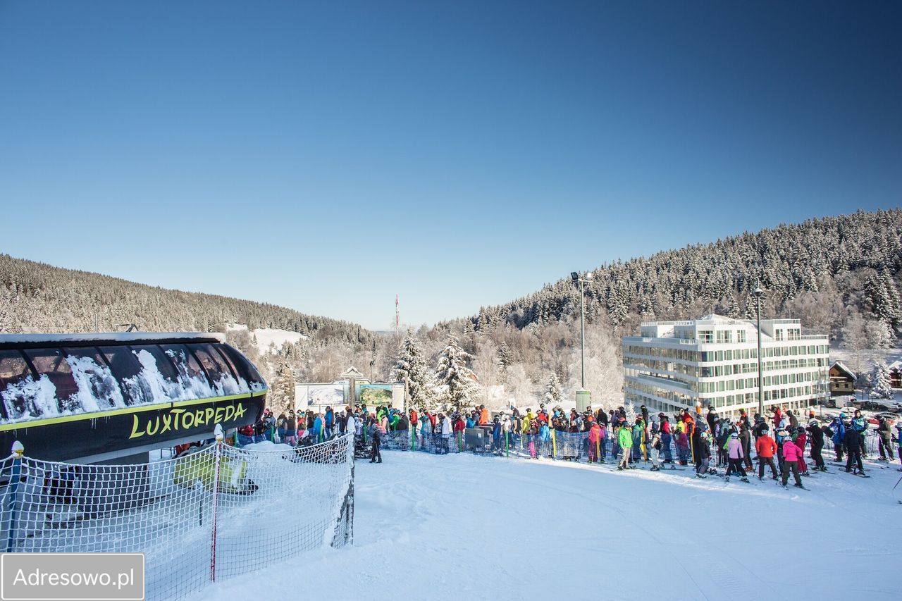 Lokal Sienna. Zdjęcie 7