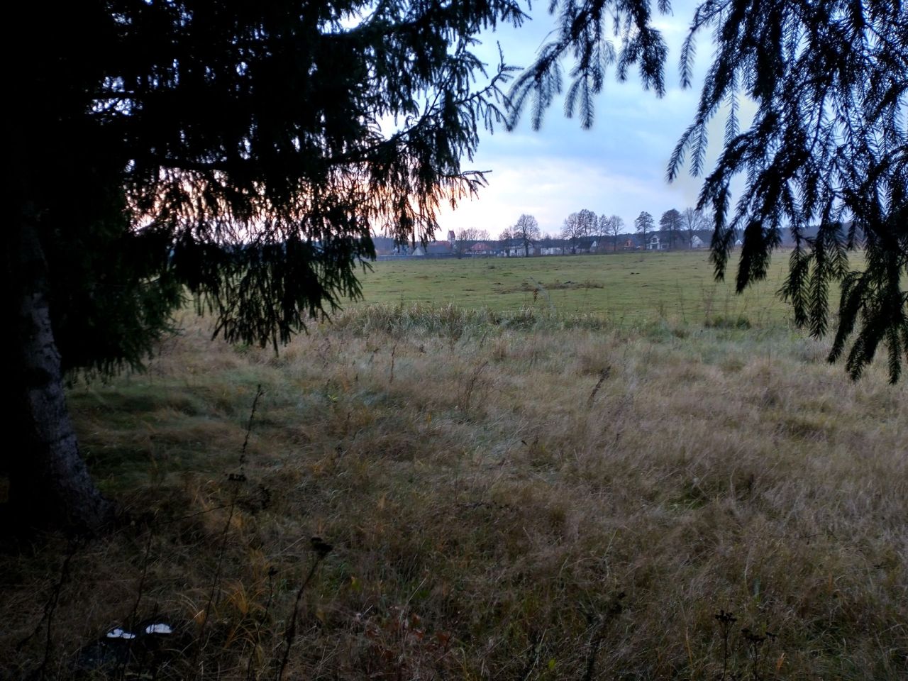 Działka rolna Ługi. Zdjęcie 19