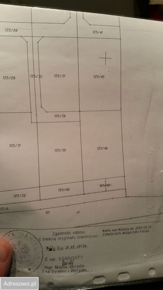 Działka budowlana Drzewianowo. Zdjęcie 4