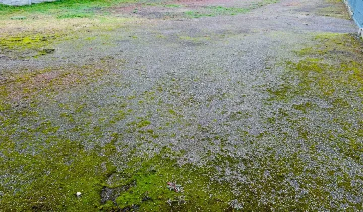 Działka inwestycyjna Starcza