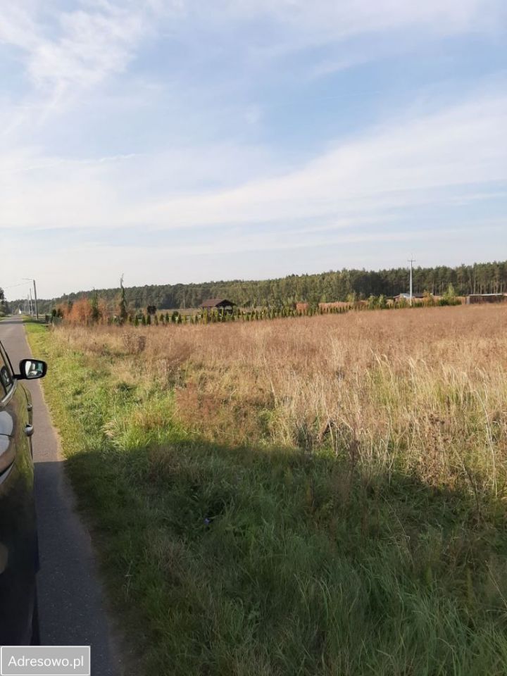 Działka inwestycyjna Sarbia. Zdjęcie 8