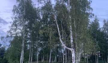 Działka budowlana Dobrzyń